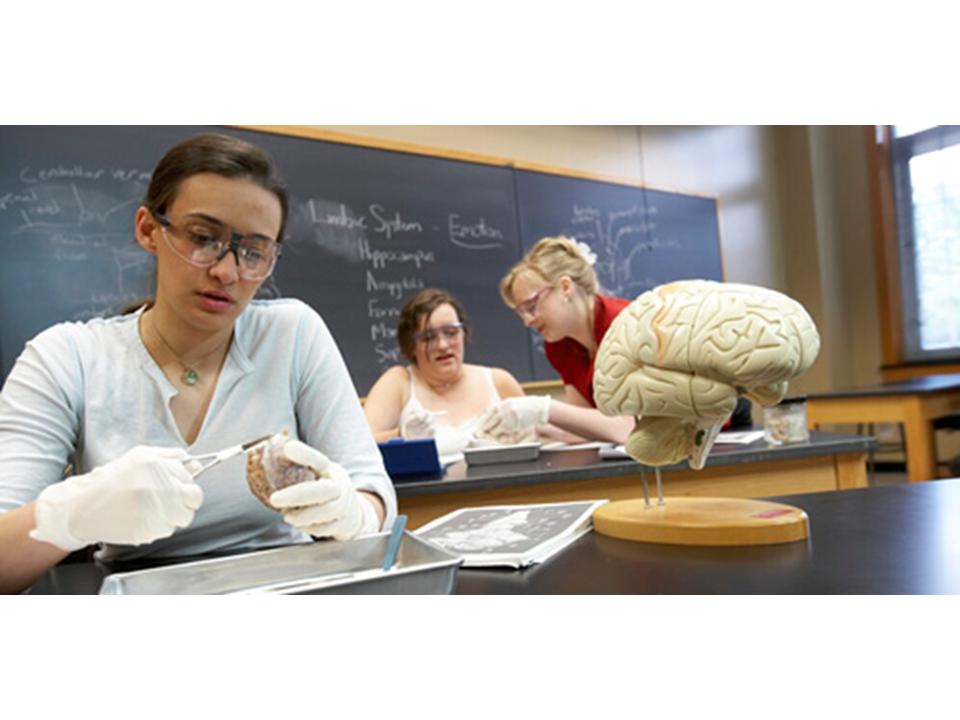 Students in lab Students in lab